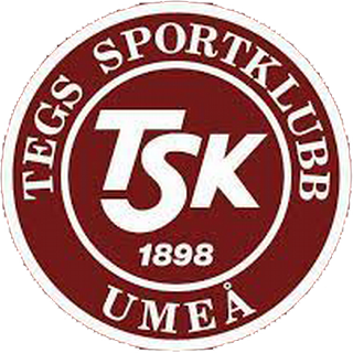 Tegs SK Hockey Ungdom Logo